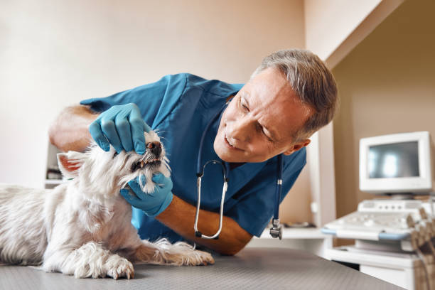 Best Pediatric Emergency Dentist in Lancaster, OH